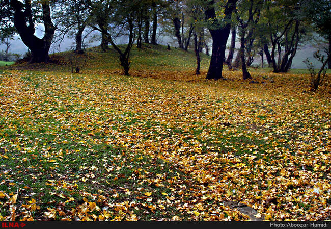 بازی رنگها در رودبار گیلان