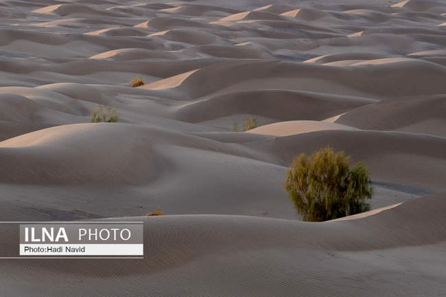 کویر مصر