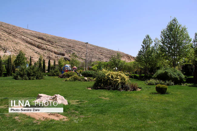 مردم شیراز با ماندن در خانه اتفاقی زیباتر از روز طبیعت را رقم زدند