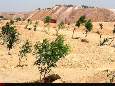 اجرای طرح عظیم جنگل‌کاری در مرز مهران به طول 100کیلومتر