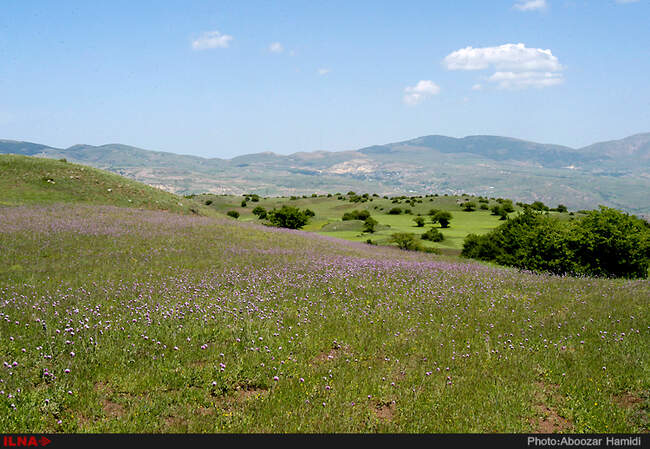 طبیعت بهاری دیلمان استان گیلان