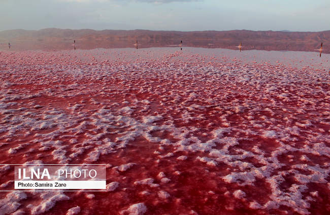 دریاچه مَهارلو 