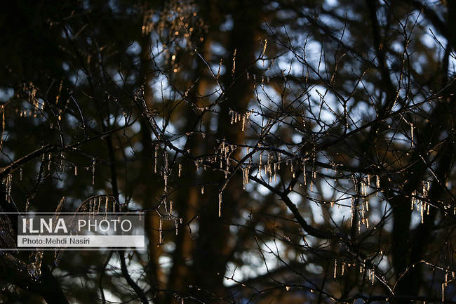 برف زمستانی پارک جمشیدیه