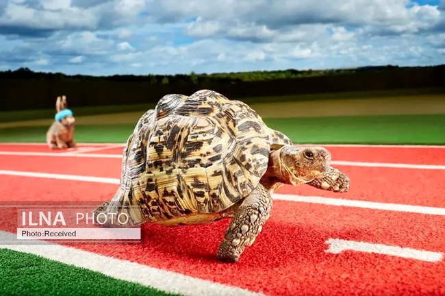 رکوردهای شگفتانگیز گینس