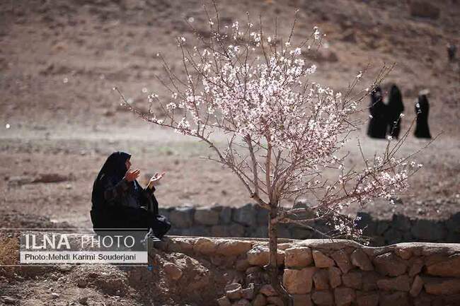 IMG_2973 copy