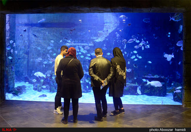 بزرگترین مجموعه آکواریوم کشور در منطقه آزاد انزلی - گیلان