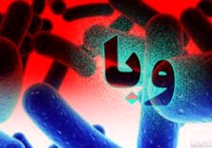 آمار مبتلایان وبا در غرب کشور به ۴۹ نفر رسید