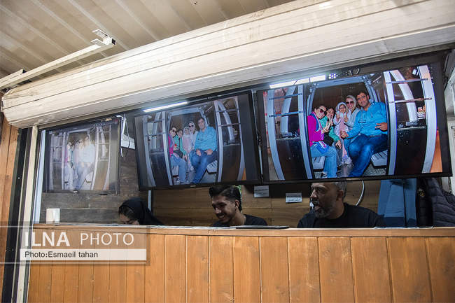 چشم انداز جنگل و دریا در قاب طبیعت