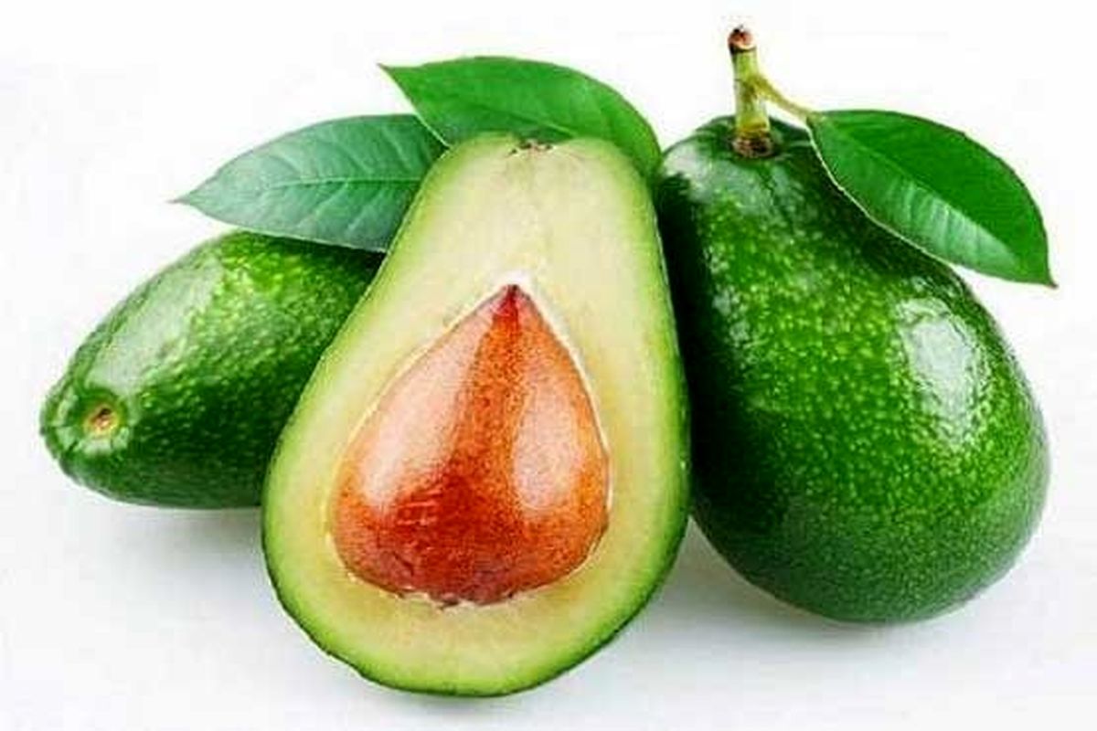 آووکادو عامل کاهش وزن