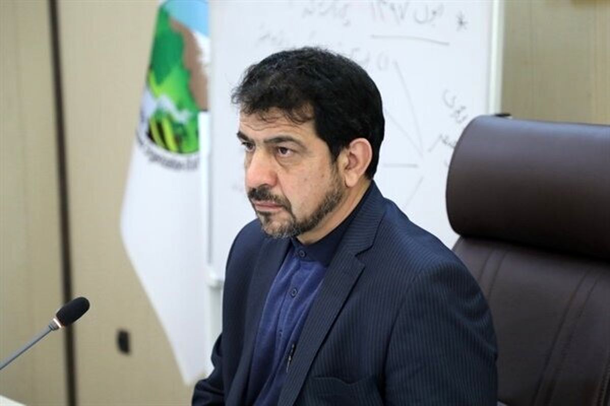 بررسی ظرفیت‌های منابع طبیعی استان‌ها در دیدار رییس سازمان جنگل‌ها با نمایندگان مجلس