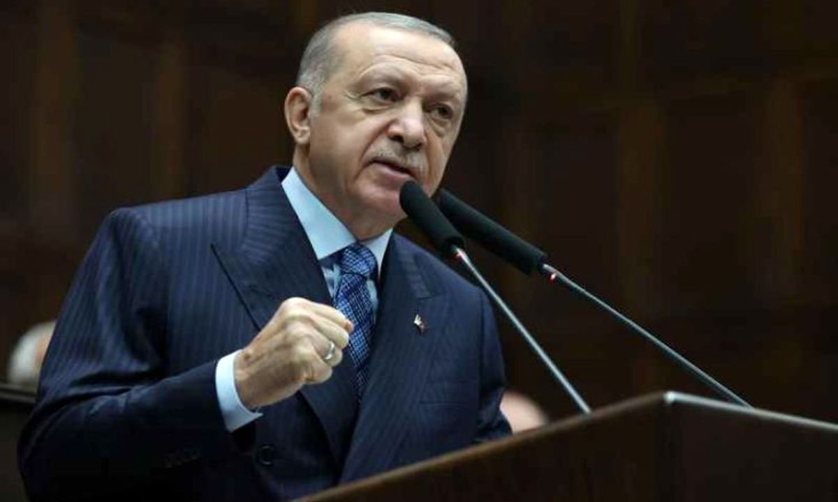 اردوغان: هیچ یک از شبکه‌های اجتماعی نمی‌توانند قانون را دور بزنند