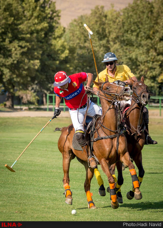 رقابتهای سه گانه چوگان هفته دولت ۱۳۹۵ - کانون چوگان/نوروزآباد