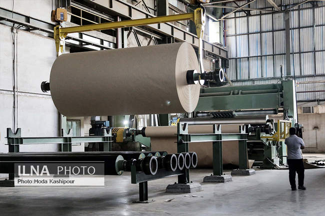 فعالیت کارخانه چوب و کاغذ مازندران با وجود مشکلات