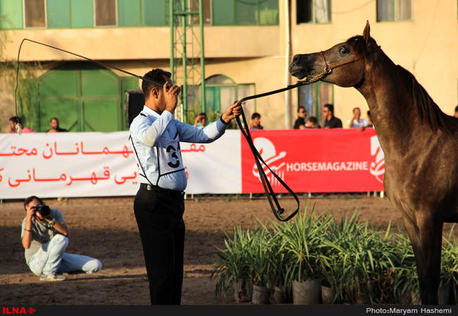 هفتمین دوره مسابقات زیبایی کشور جام ( پادرون ال فرید )