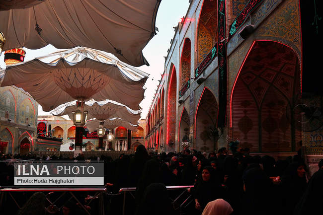 زائران حضرت امیرالمومنین علیه السلام 