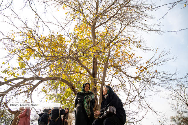 باغستان سنتی؛ میراث کهن مردم قزوین 
