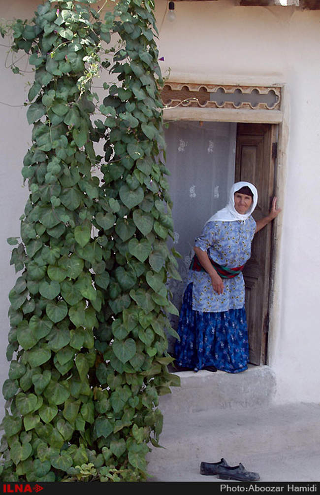 مراسم سنتی عروسی در روستای انبوه عمارلوی رودبار گیلان