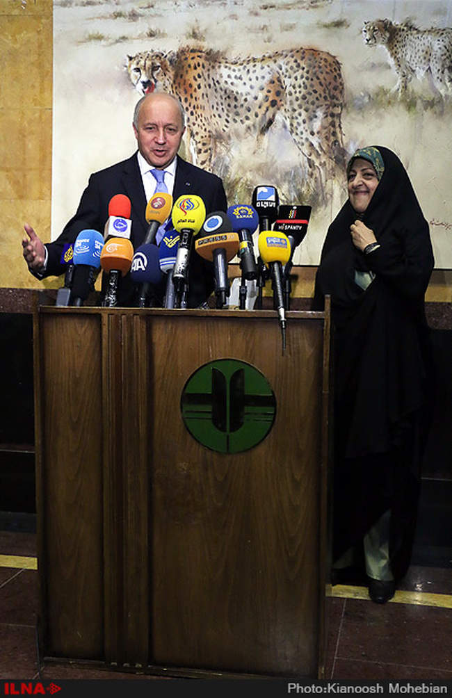 دیدار لوران فابیوس با معصومه ابتکار