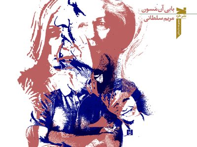 انتشار کتابی از بابی آن مسون  