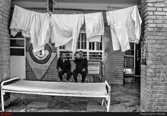 تنهایی پر هیاهو / استان قم