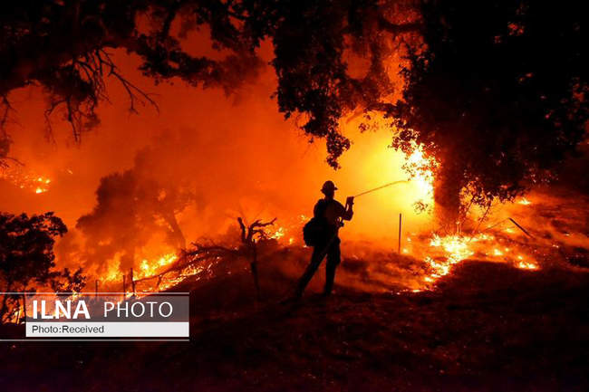 آتش سوزی گسترده در منطقه سانتا باربارا - ایالت کالیفرنیای آمریکا 