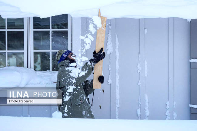  کولاک و یخبندان در آمریکا، کانادا و ژاپن 