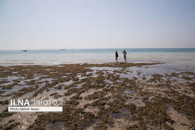  خلیج فارس