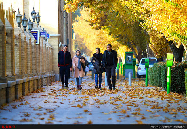 برگ ریزان پاییز اصفهان