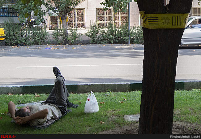 خیابانهای تهران در تصرف سفید بالک ها
