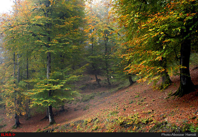 بازی رنگها در رودبار گیلان