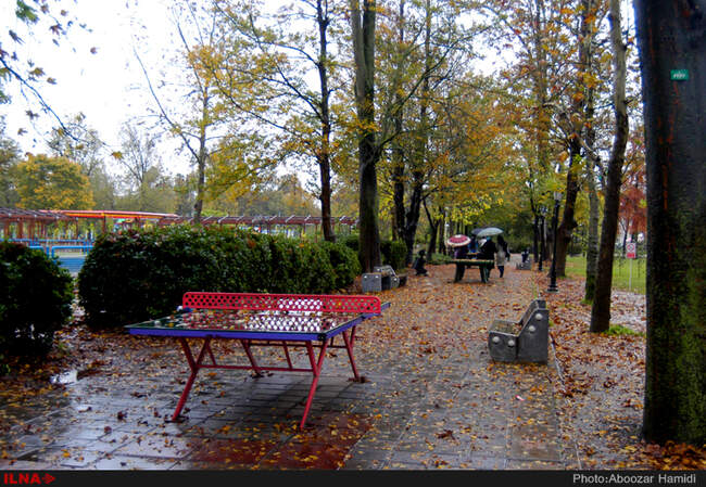 بارش باران در رشت