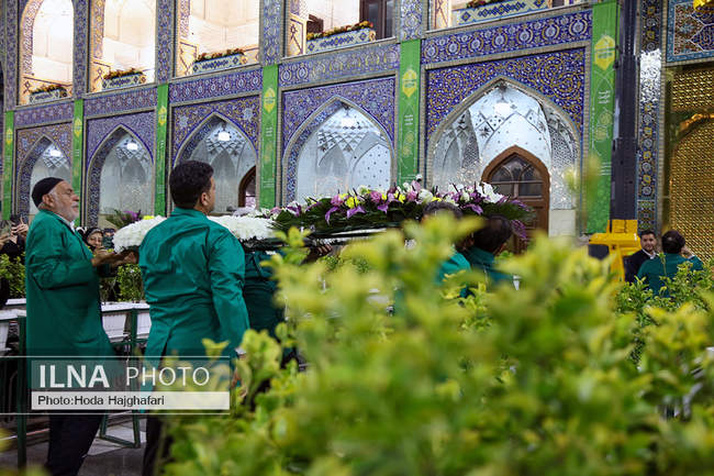 تعویض گل‌های ضریح حضرت امام رضا (ع)