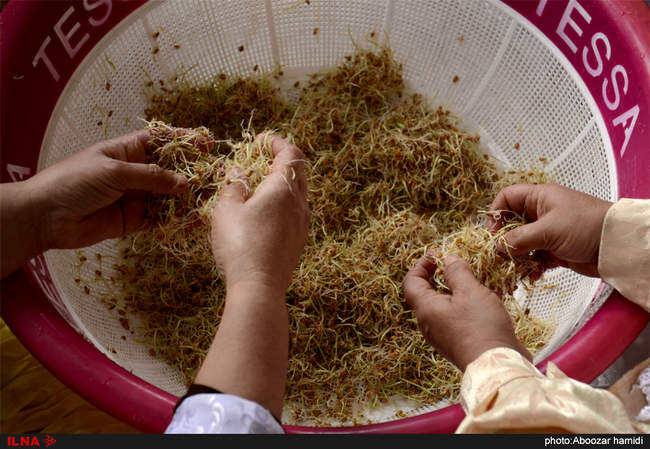 سمنو پزان در روستای اسطلخ جان رودبار- گیلان‎