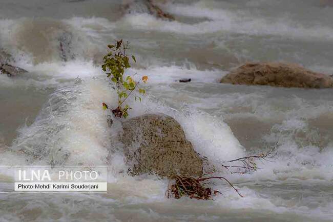 IMG_1181 copy