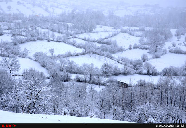 تقابل بهار و زمستان در واپسین روزهای سال- خورگام رودبار گیلان