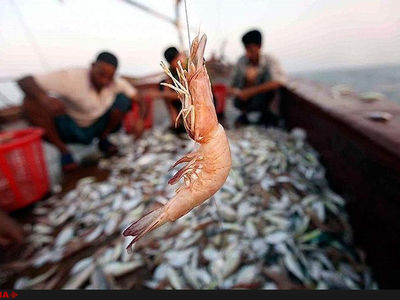 باید شکم‌های گرسنه را سیر کنیم/نمی‌توانیم منتظر اجرای برنامه‌های شیلات بمانیم