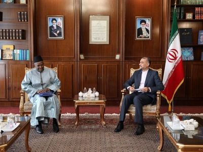سفیر جدید مالی رونوشت استوارنامه خود را تسلیم امیرعبداللهیان کرد