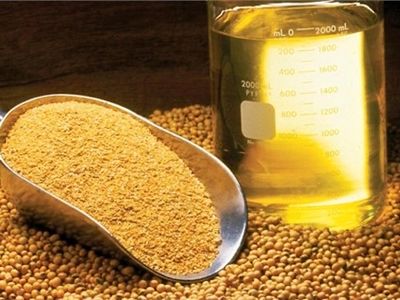 آغاز ثبت سفارش دانه‌های روغنی