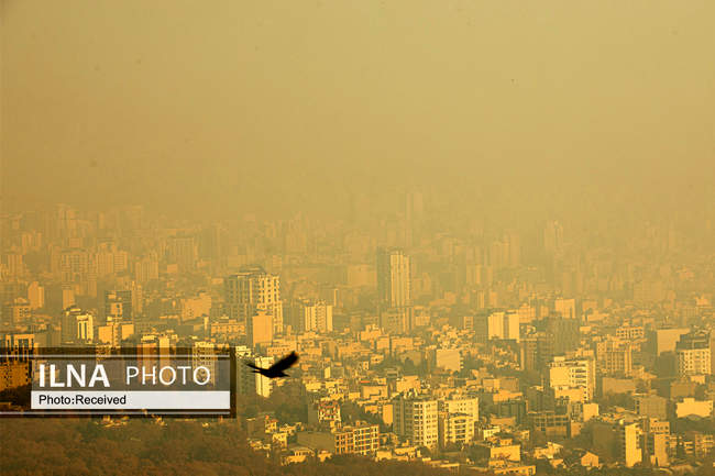 نفسم گرفت از این شهر