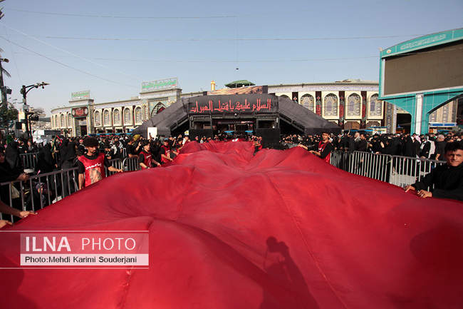 IMG_1387 copy