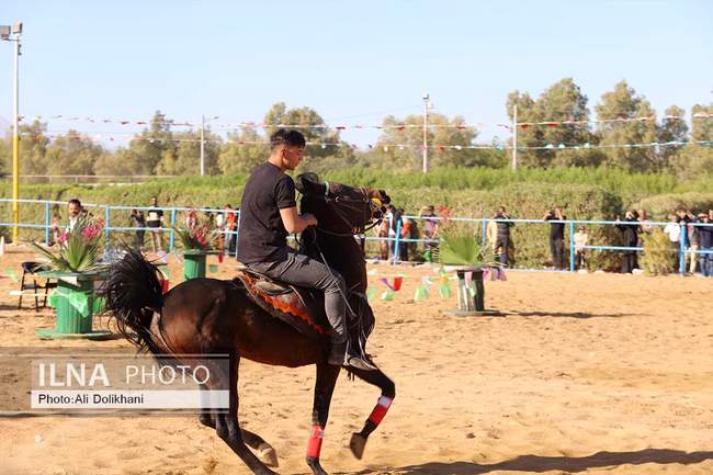 سومین جشنواره زیبایی و شوسواره استان هرمزگان