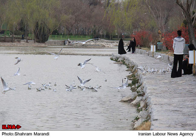 زاینده رود...