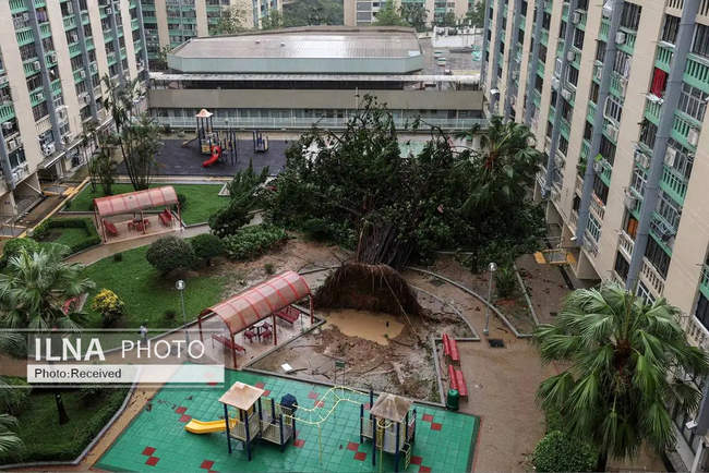 تصاویری از خسارات طوفان راگاسا در جنوب چین 