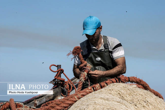 صید پاییزه ماهی در دریای خزر