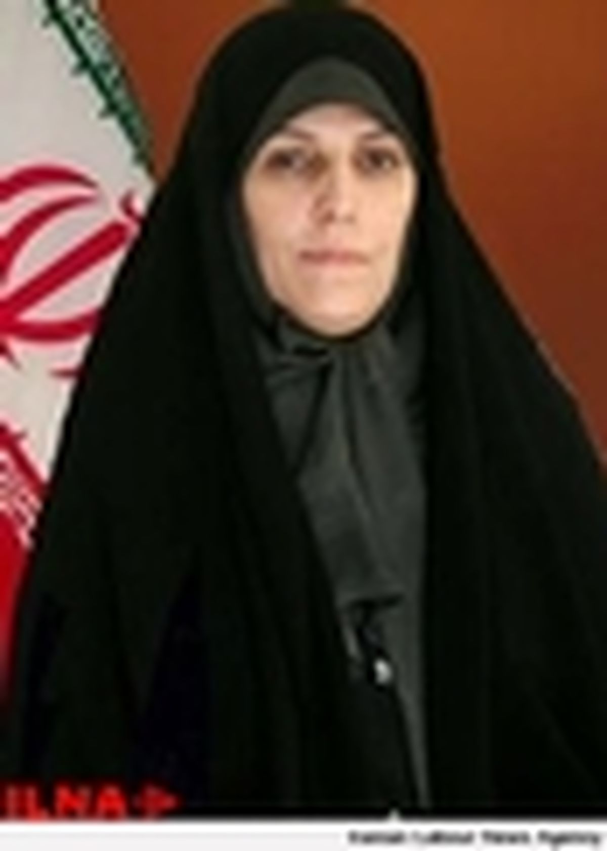 لایحه تشکیل مرجع ملی صیانت از زنان در برابر خشونت در دست پیگیری است