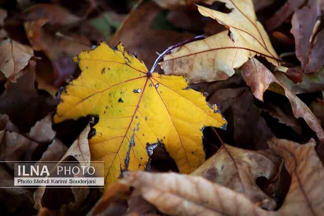 IMG_6304 copy