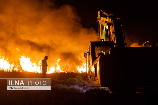  تالاب میقان اراک در آتش 