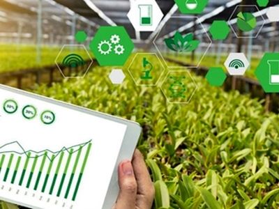 اجرای برنامه هفتم توسعه از اولویت‌ها و تأکیدات دولت چهاردهم است 