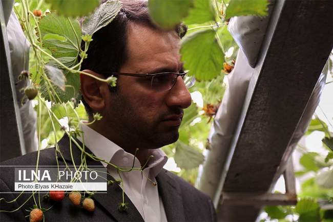 سفر یک روزه معاون وزیر کار  به استان قزوین