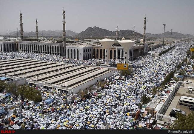 کشته شدن صدها حاجی در سرزمین منا